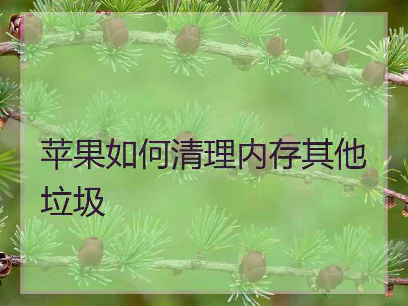 苹果如何清理内存其他垃圾