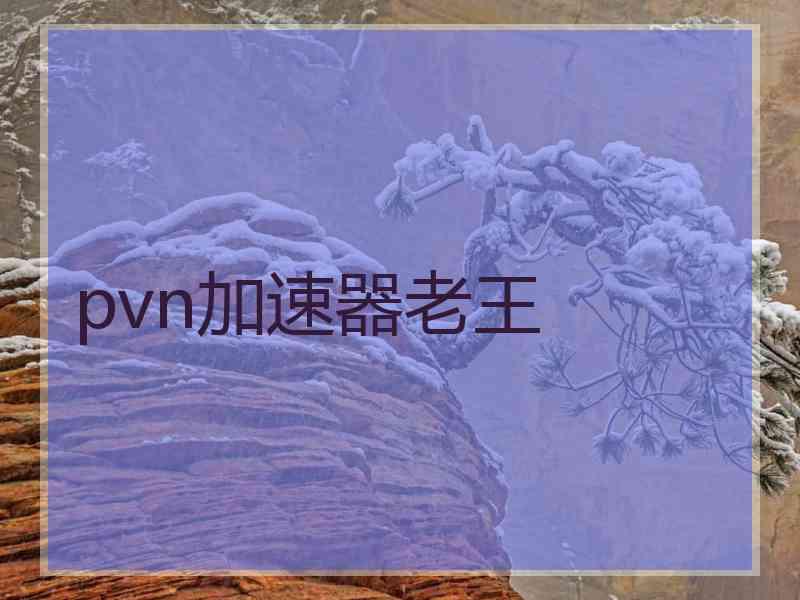 pvn加速器老王