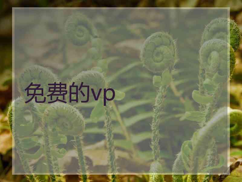 免费的vp