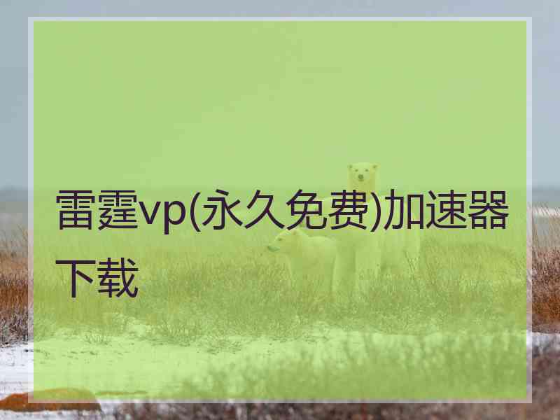 雷霆vp(永久免费)加速器下载