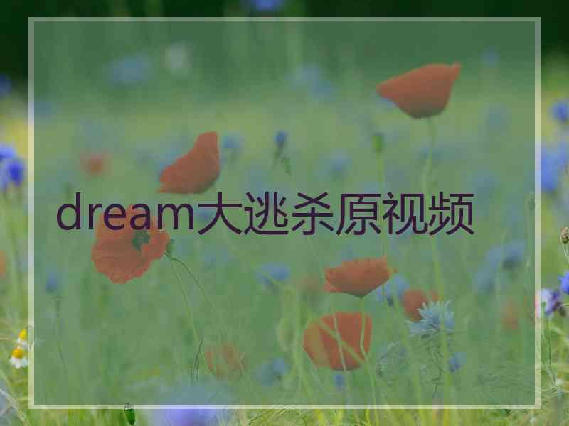 dream大逃杀原视频