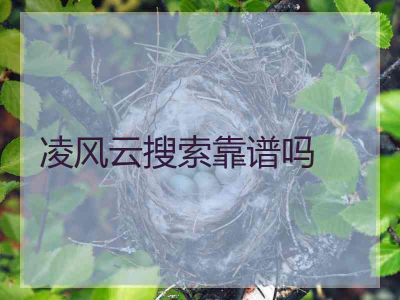 凌风云搜索靠谱吗