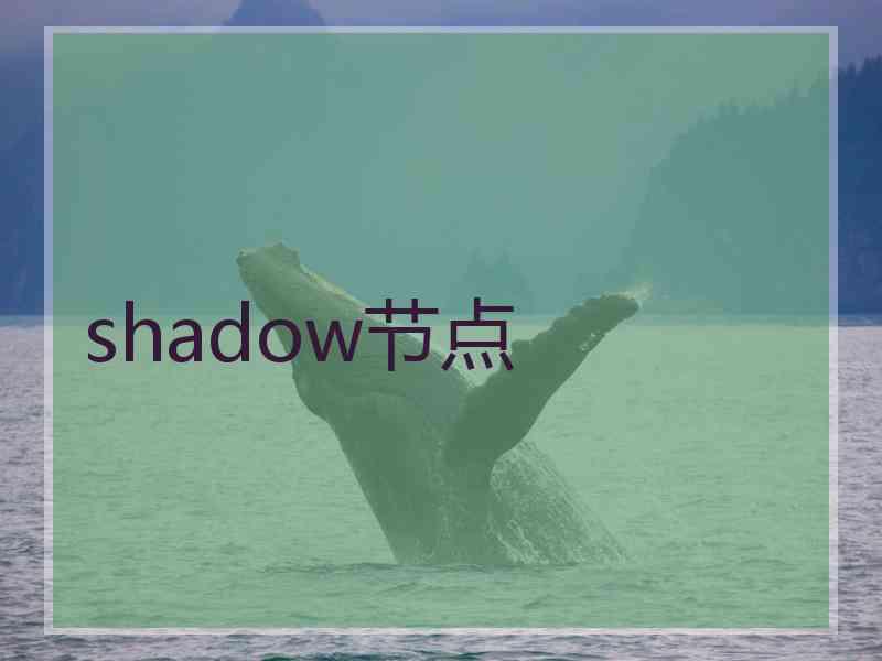 shadow节点