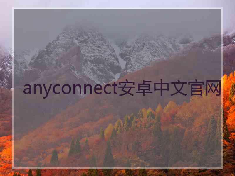 anyconnect安卓中文官网