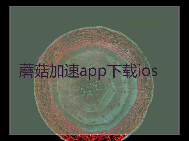 蘑菇加速app下载ios