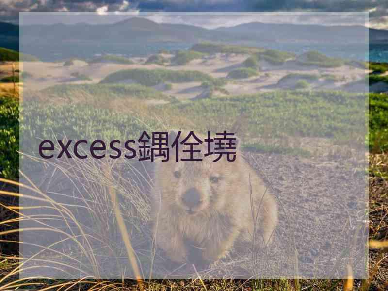 excess鍝佺墝