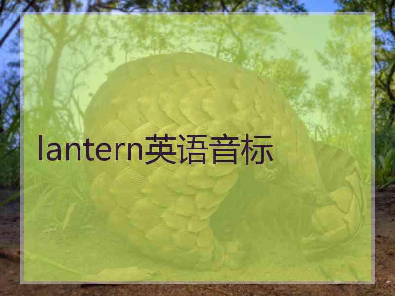 lantern英语音标