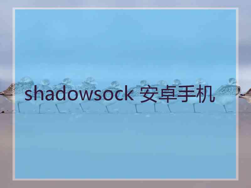 shadowsock 安卓手机