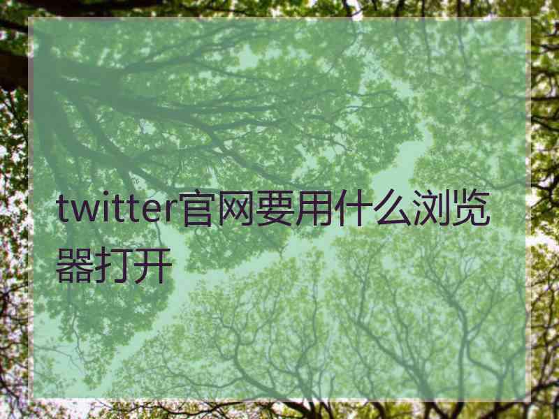 twitter官网要用什么浏览器打开