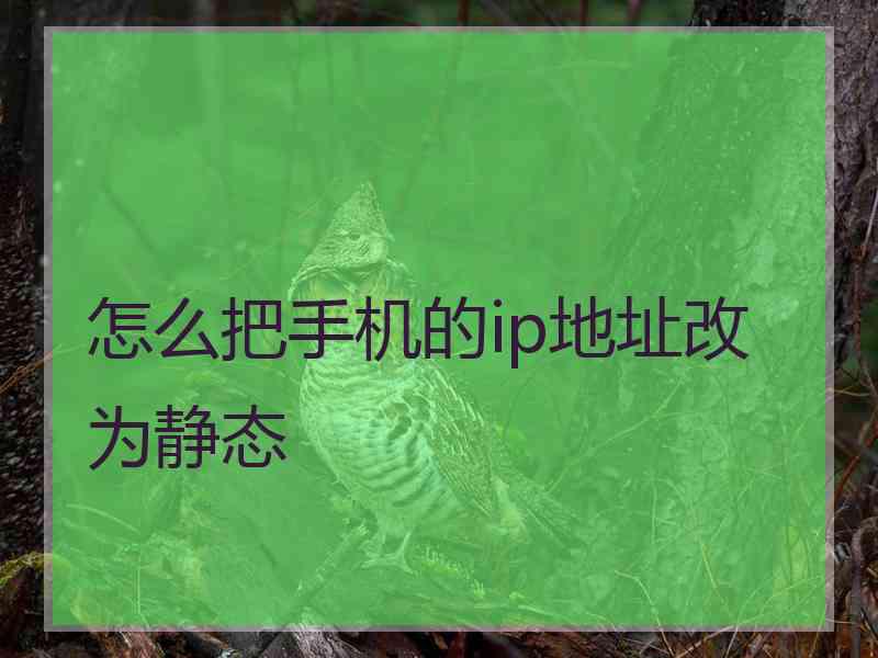 怎么把手机的ip地址改为静态