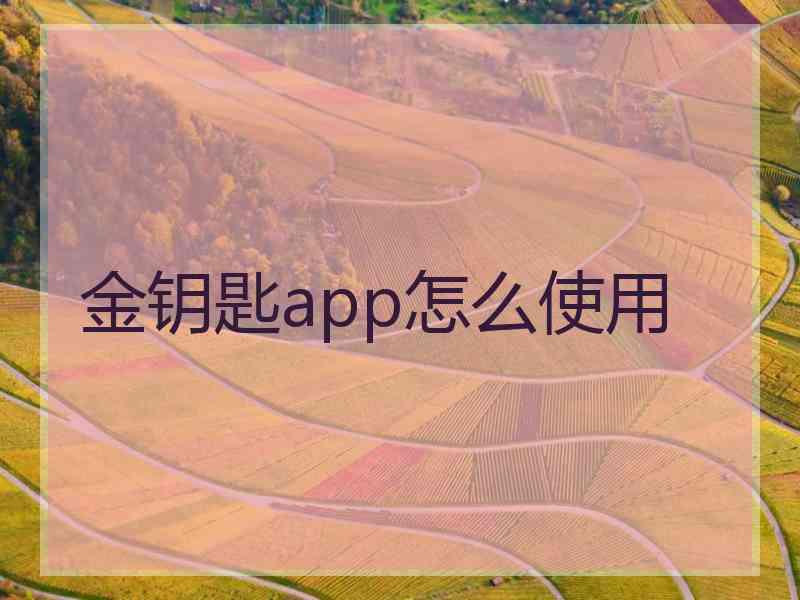 金钥匙app怎么使用