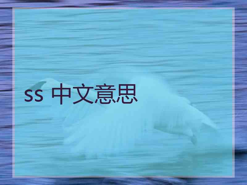 ss 中文意思