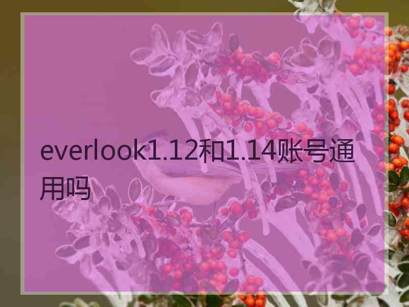 everlook1.12和1.14账号通用吗