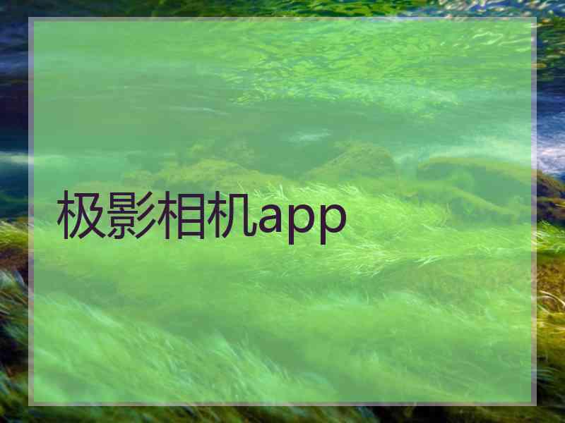 极影相机app