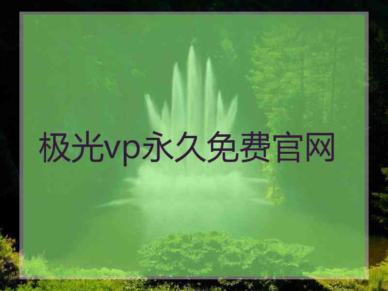 极光vp永久免费官网