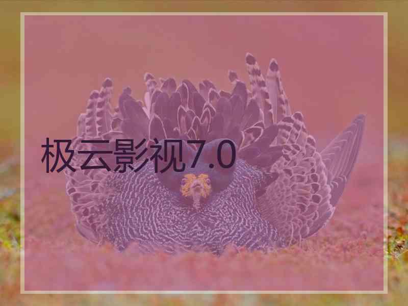 极云影视7.0