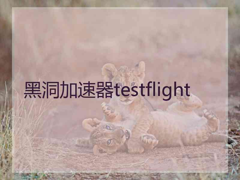 黑洞加速器testflight