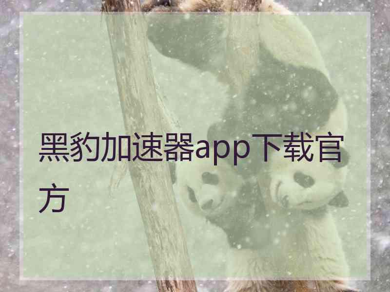 黑豹加速器app下载官方