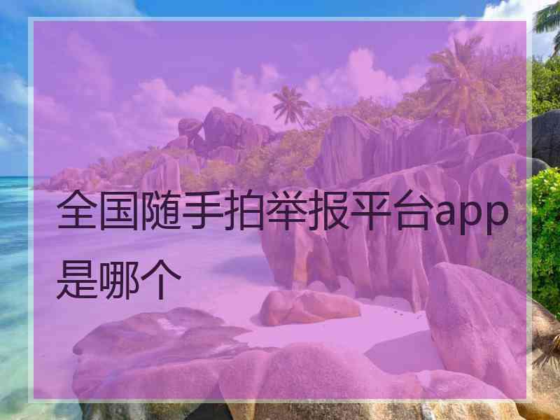 全国随手拍举报平台app是哪个