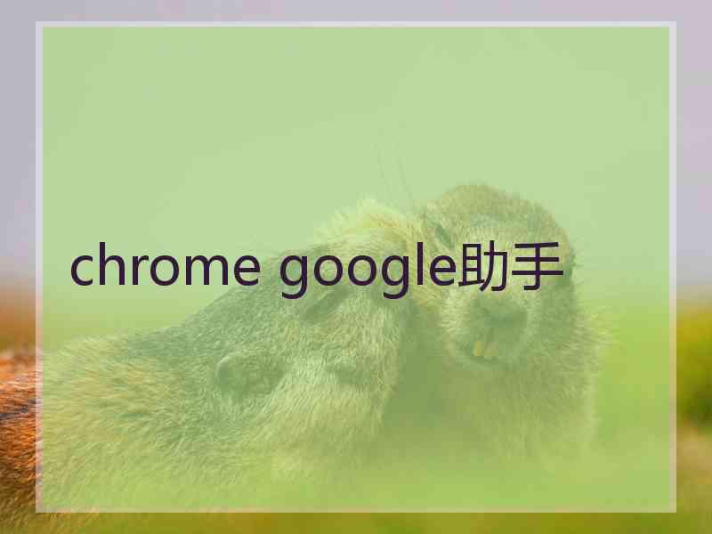 chrome google助手