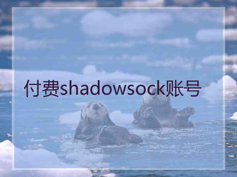 付费shadowsock账号