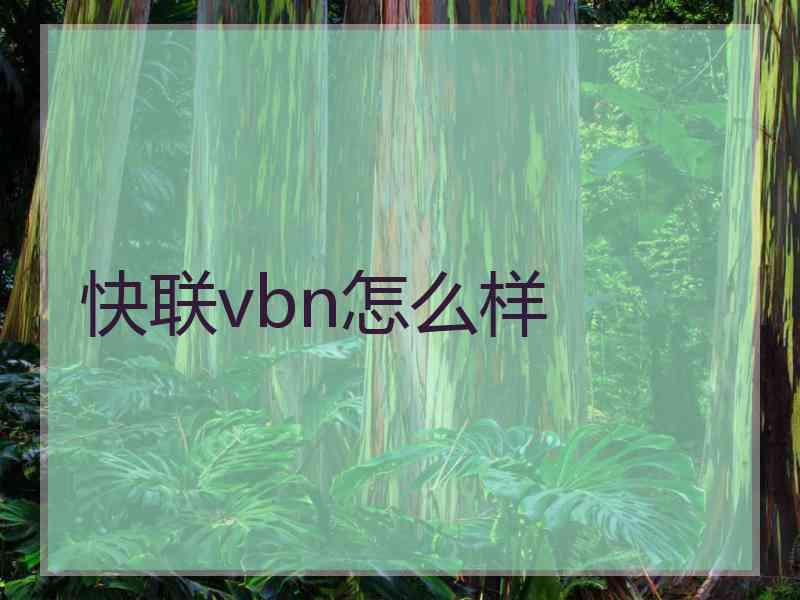 快联vbn怎么样