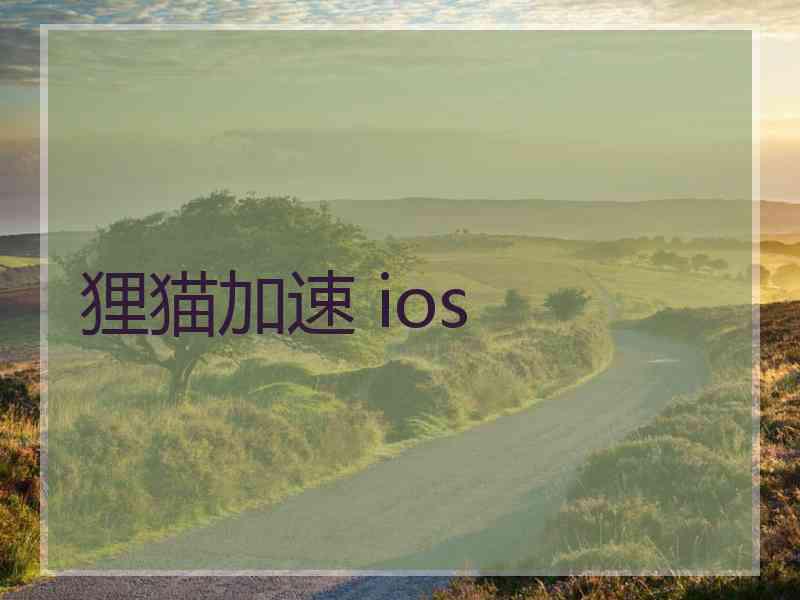 狸猫加速 ios