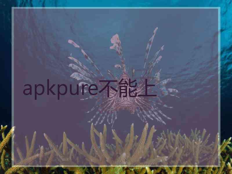 apkpure不能上