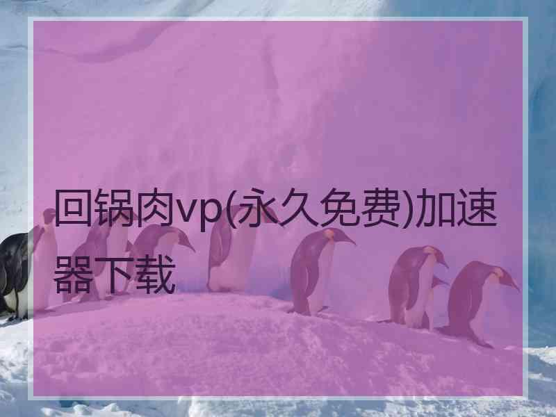 回锅肉vp(永久免费)加速器下载