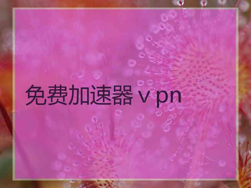 免费加速器ⅴpn