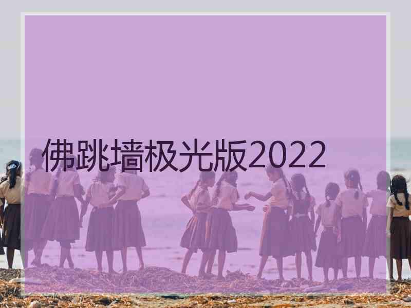 佛跳墙极光版2022