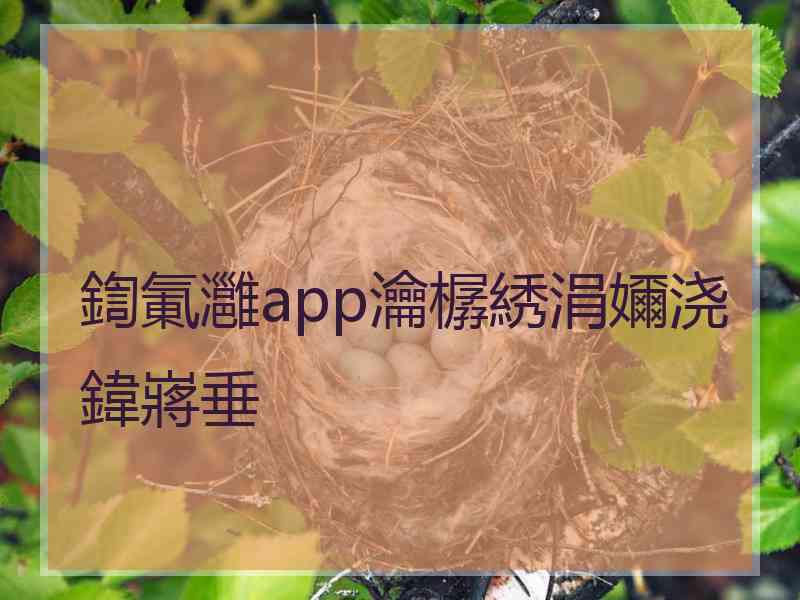 鍧氭灉app瀹樼綉涓嬭浇鍏嶈垂