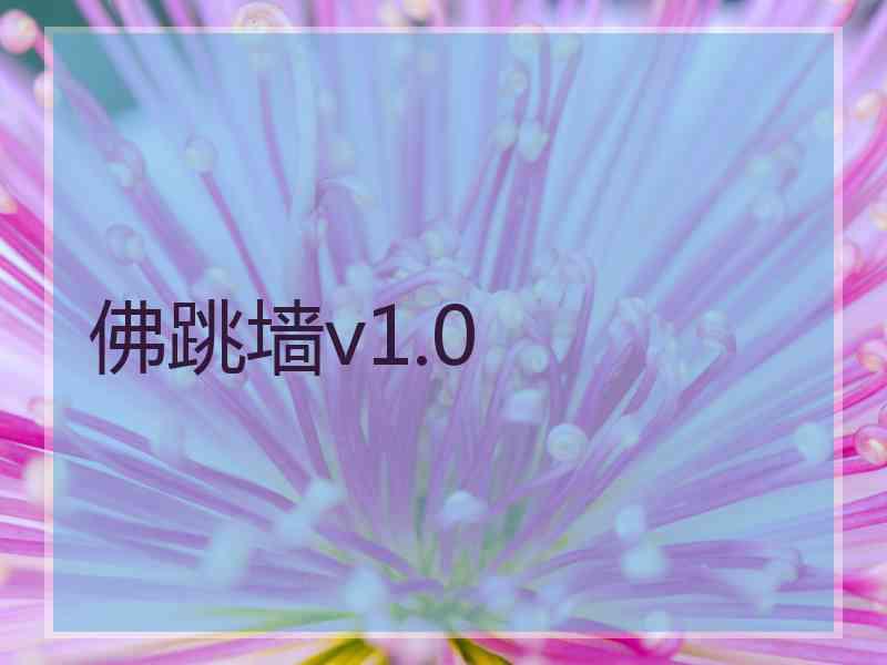 佛跳墙v1.0