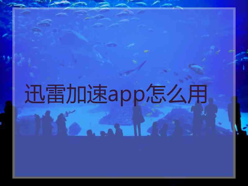 迅雷加速app怎么用