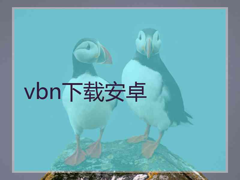 vbn下载安卓