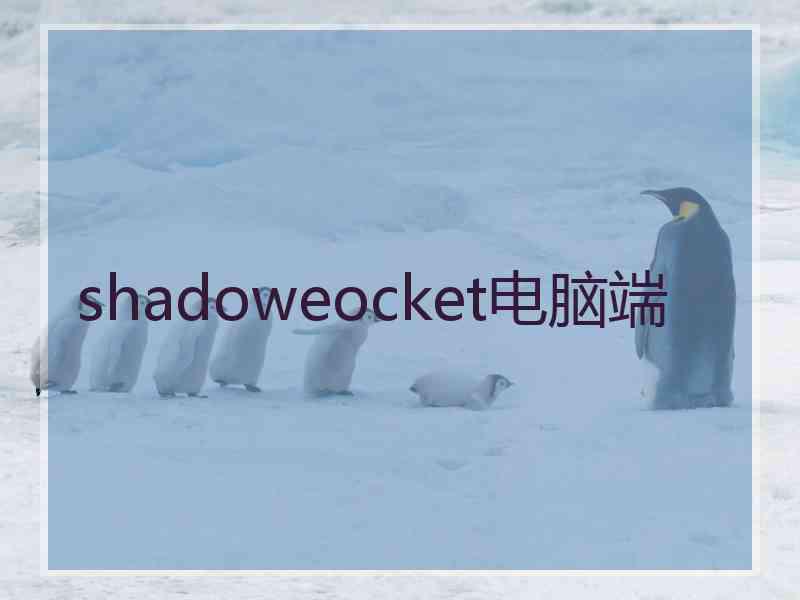 shadoweocket电脑端