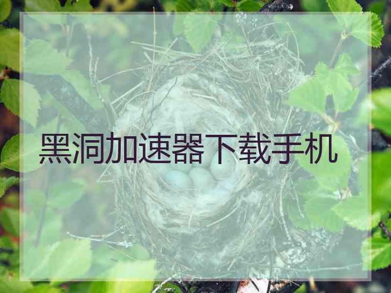 黑洞加速器下载手机