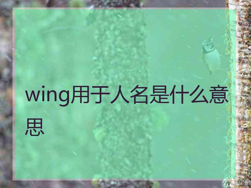 wing用于人名是什么意思