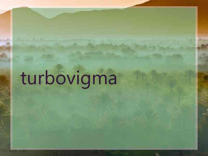 turbovigma