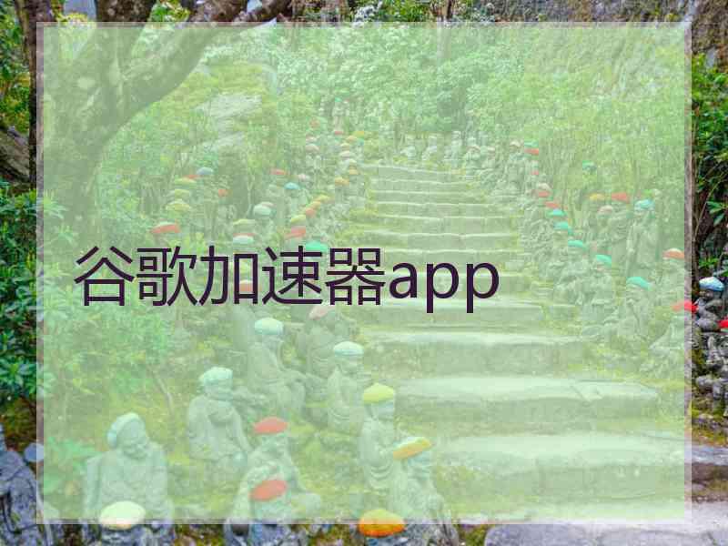 谷歌加速器app