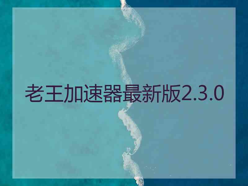 老王加速器最新版2.3.0