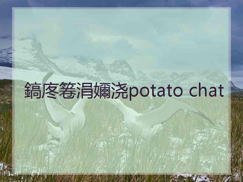 鎬庝箞涓嬭浇potato chat