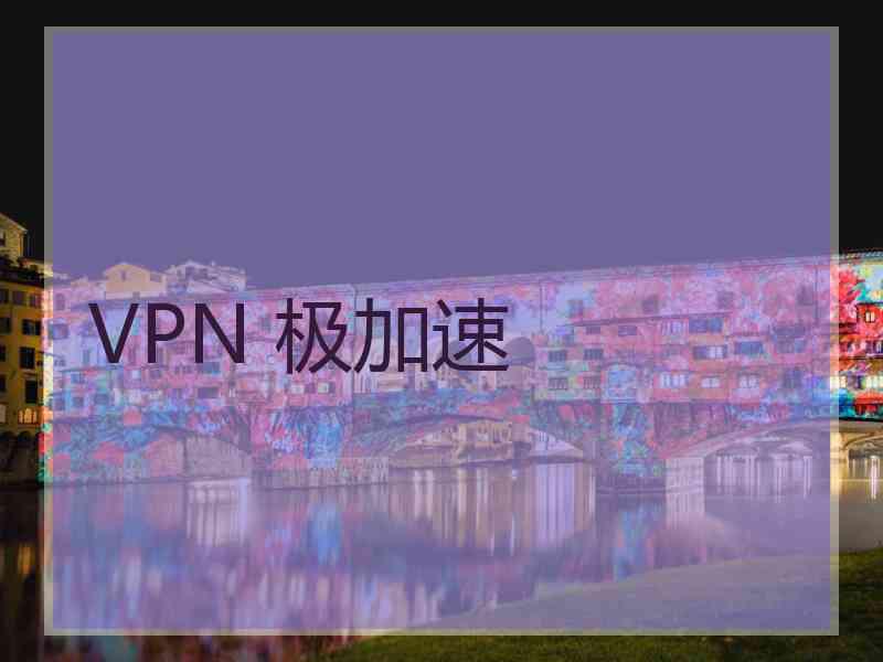 VPN 极加速