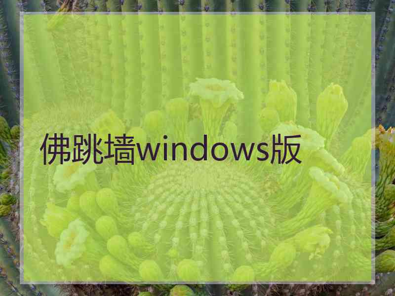 佛跳墙windows版