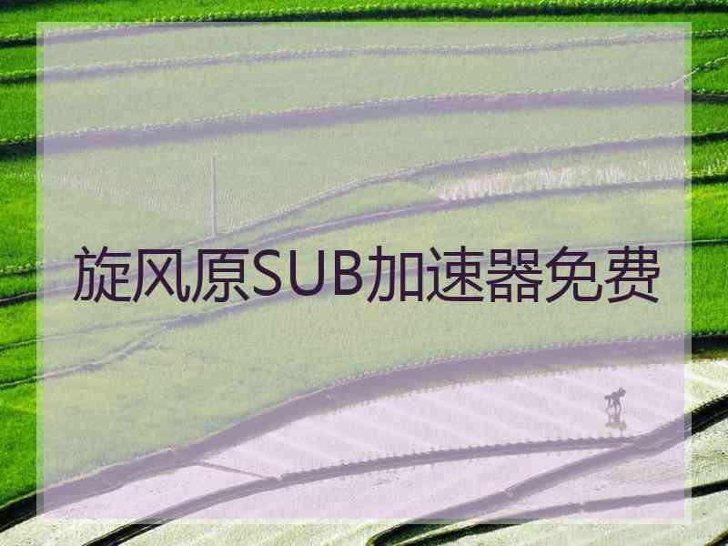 旋风原SUB加速器免费