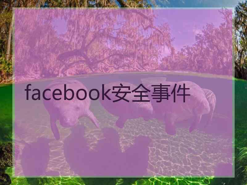 facebook安全事件