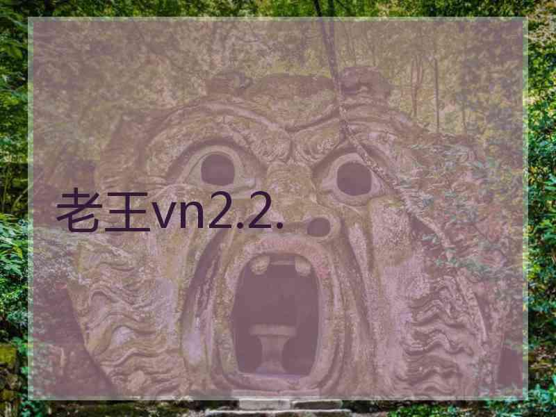 老王vn2.2.