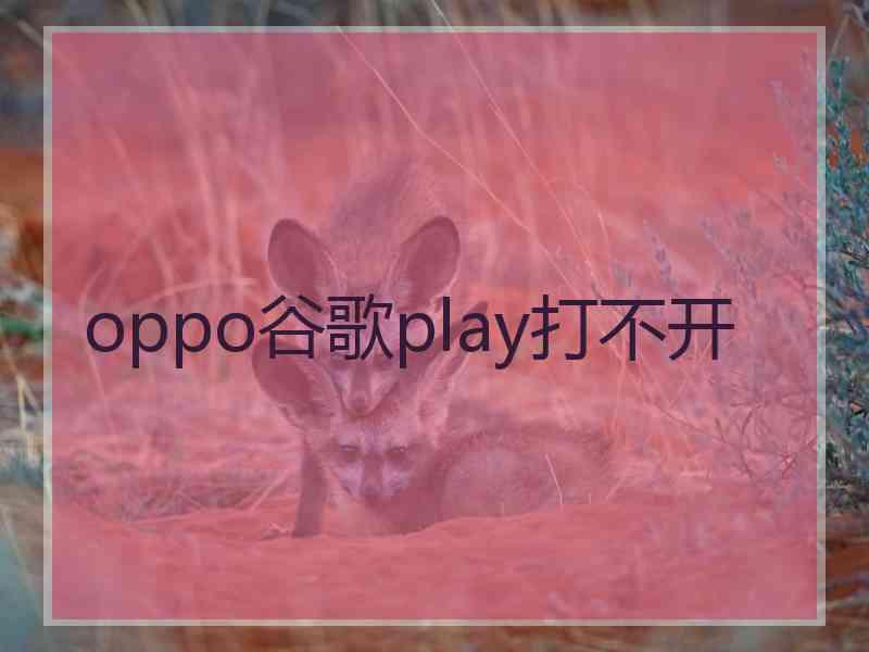 oppo谷歌play打不开