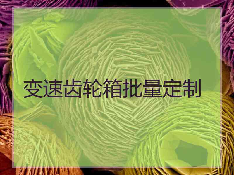 变速齿轮箱批量定制