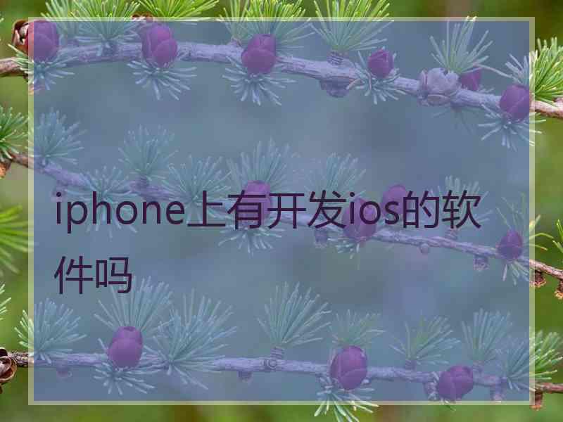 iphone上有开发ios的软件吗